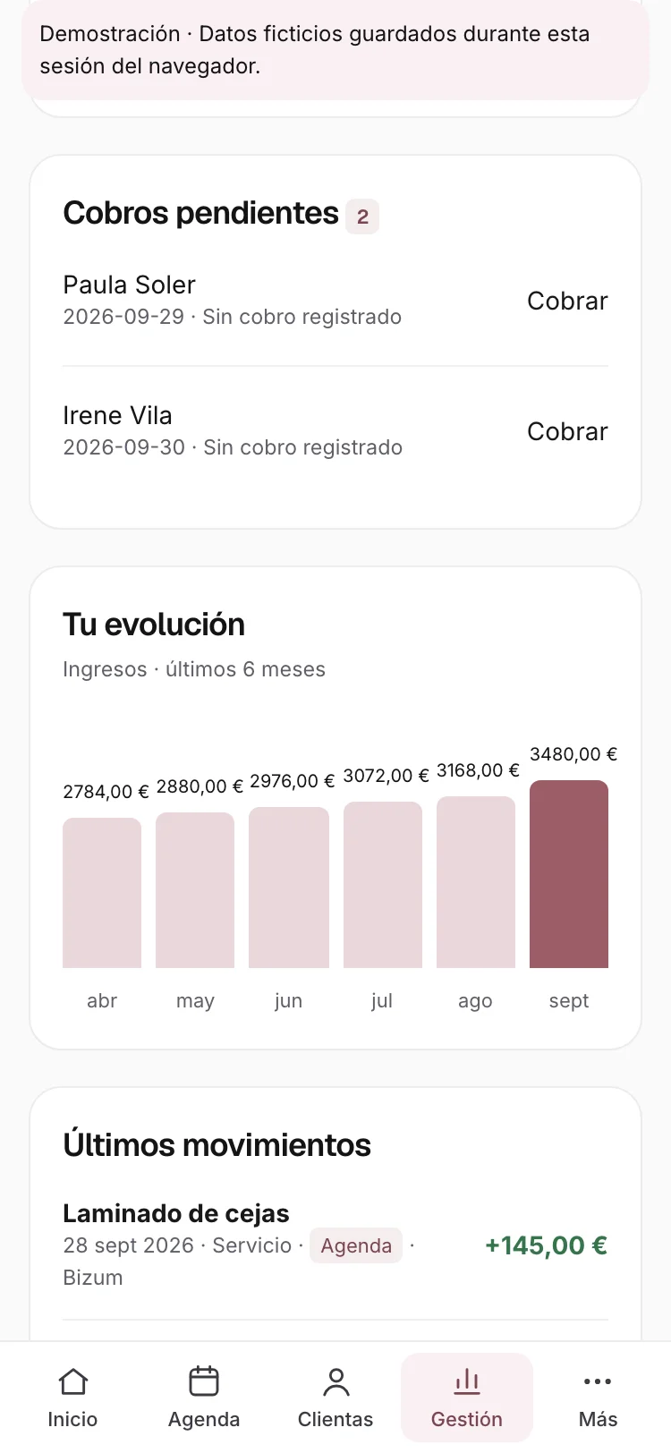 Cobros pendientes de las citas (datos ficticios)